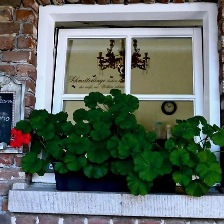 Ferienwohnung In De Achtste Hemel Schimmert Exterior foto